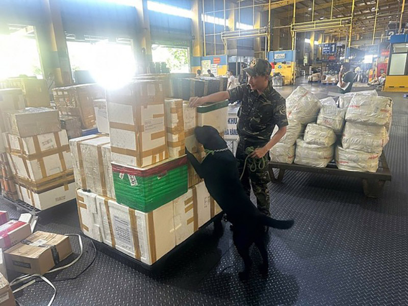 efd872bca03a14644d2b2025061210532920251213064753-1766216102944444218279.jpg -0