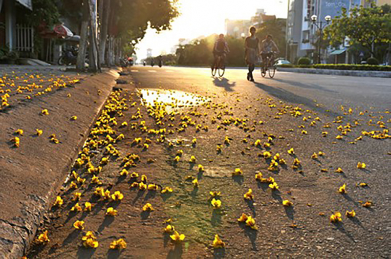 Bắc Bộ sáng sương mù, vài nơi lác đác mưa sau hửng nắng ấm -0