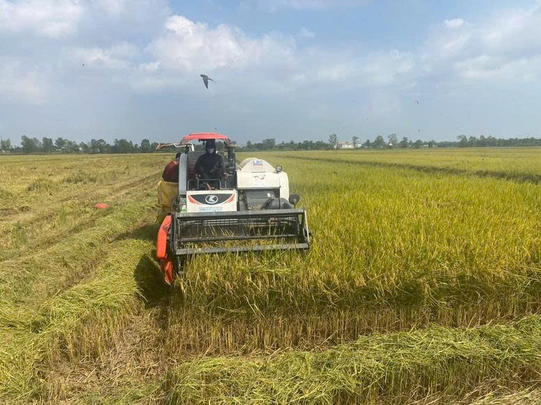 Sản xuất xanh để giảm ô nhiễm, tăng lợi nhuận -0