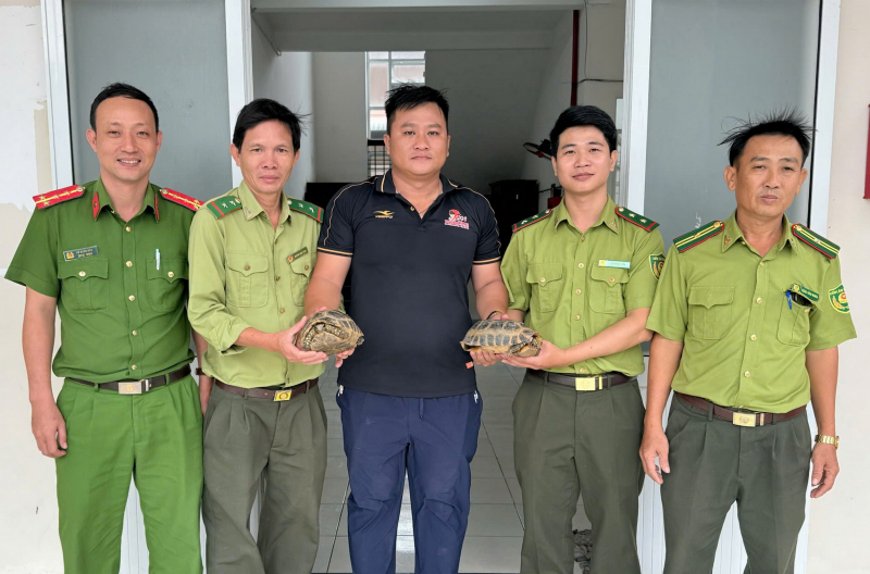 Người dân phát hiện và giao nộp 2 cá thể rùa núi vàng quý hiếm -0