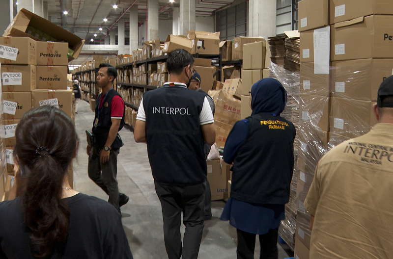 Truy quét đường dây dược phẩm giả xuyên quốc gia -0