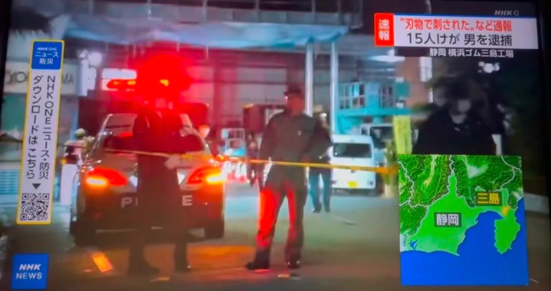 15 người bị thương trong vụ tấn công bằng dao tại nhà máy Nhật Bản  -0