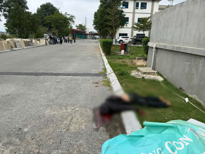 Chồng sát hại vợ và cháu trai 2 tuổi rồi nhảy lầu tự tử -0