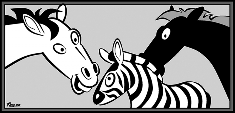 Phỏng vấn một mụ phù thủy -0