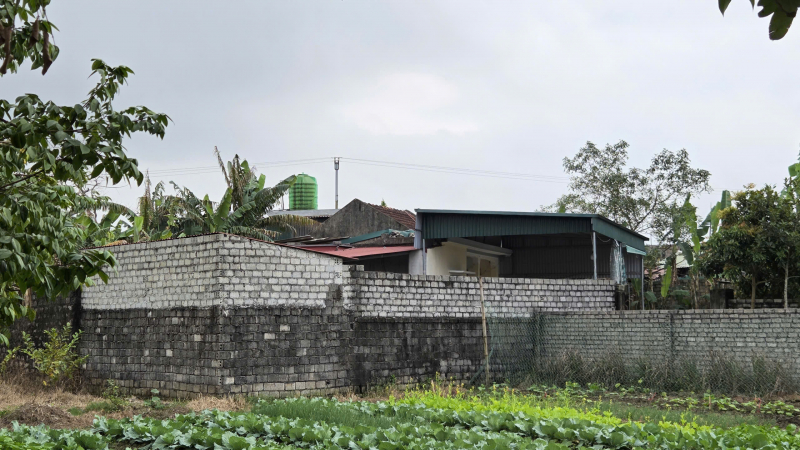 Bi kịch của một gia đình trẻ từ mâu thuẫn hôn nhân -0