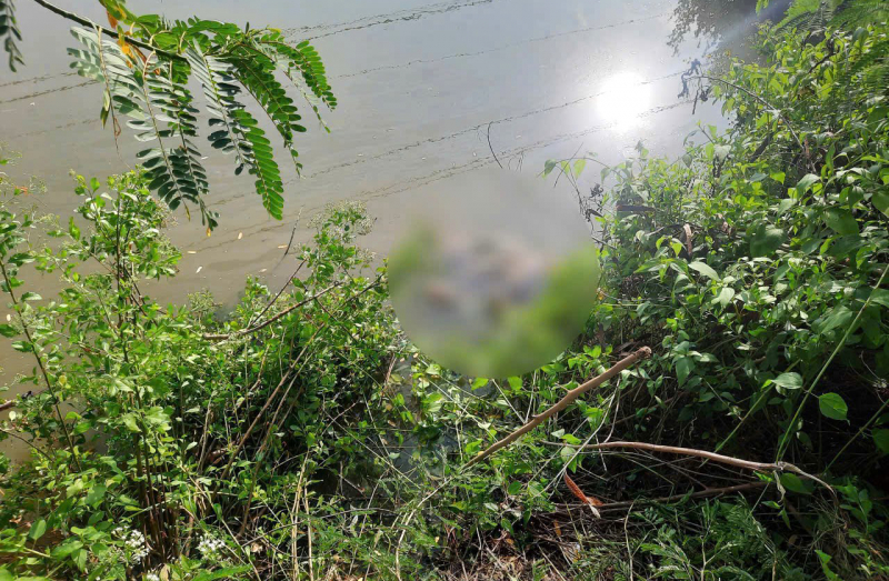 Đã xác định được hung thủ sát hại thiếu nữ 13 tuổi ở Cà Mau -0