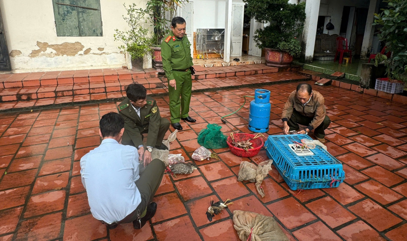Phương thức, thủ đoạn mua bán, tiêu thụ động vật hoang dã (bài 1) -0