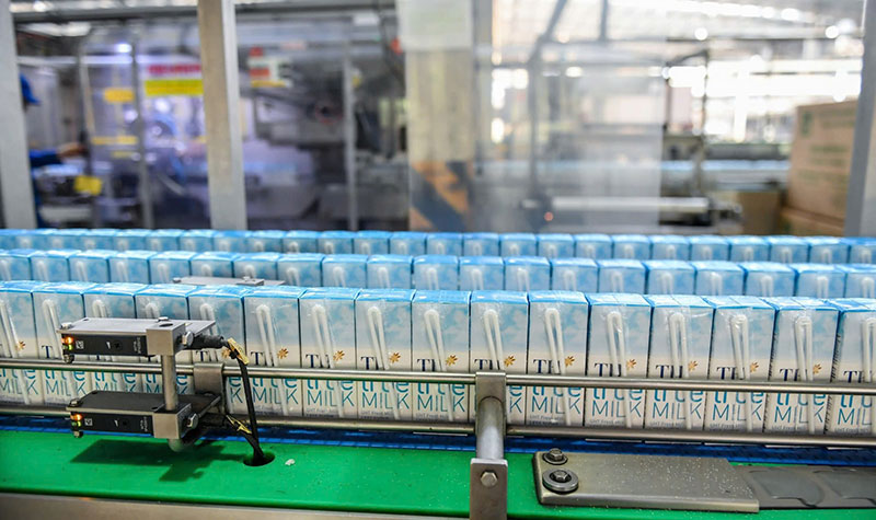 Khi phẩm hạnh anh hùng được kết tinh từ tinh thần phụng sự -0