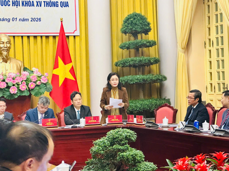 Công bố 12 luật -0