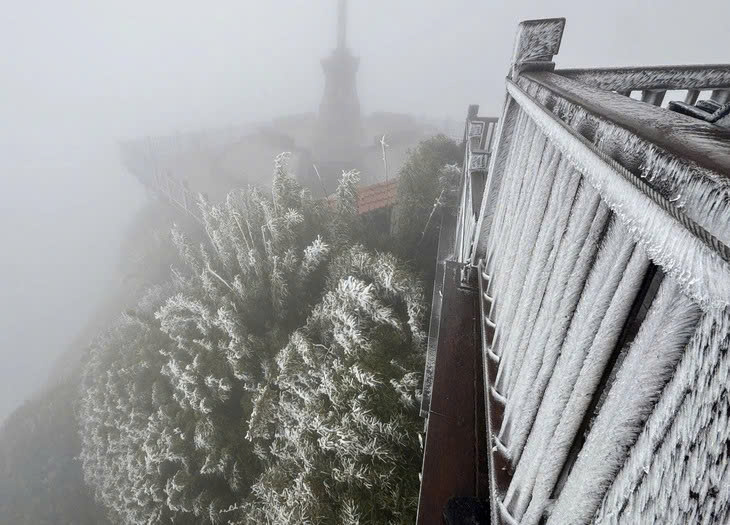 z7406599658047_859c6d66c67213cc8e6b37b918527e58.jpg -0