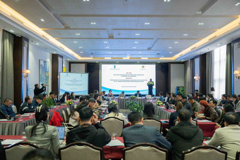 Workshop on ICPPED: Affirming Viet Nam’s proactive and responsible approach to human rights protection -2
