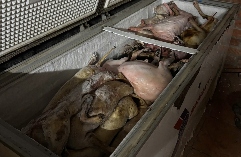 Triệt phá đường dây trộm và tiêu thụ chó mèo “khủng” ở Tây Ninh -0