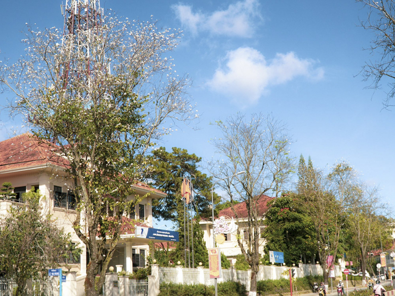 Mùa mới thật Đà Lạt -1