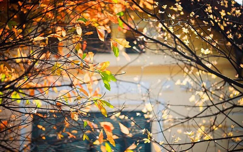 Vùng núi cao Bắc Bộ rét đậm, Hà Nội trời nắng hanh -0