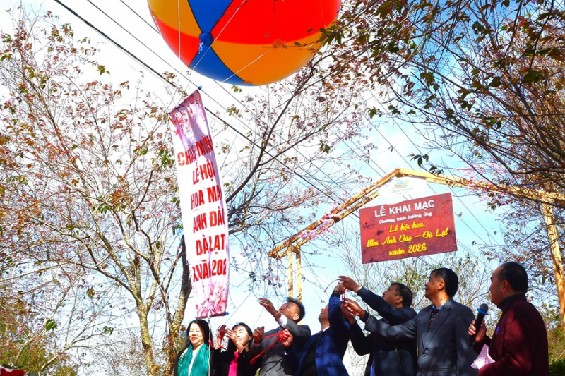 Du khách chen chân ngắm mai anh đào Đà Lạt nở rộ -0