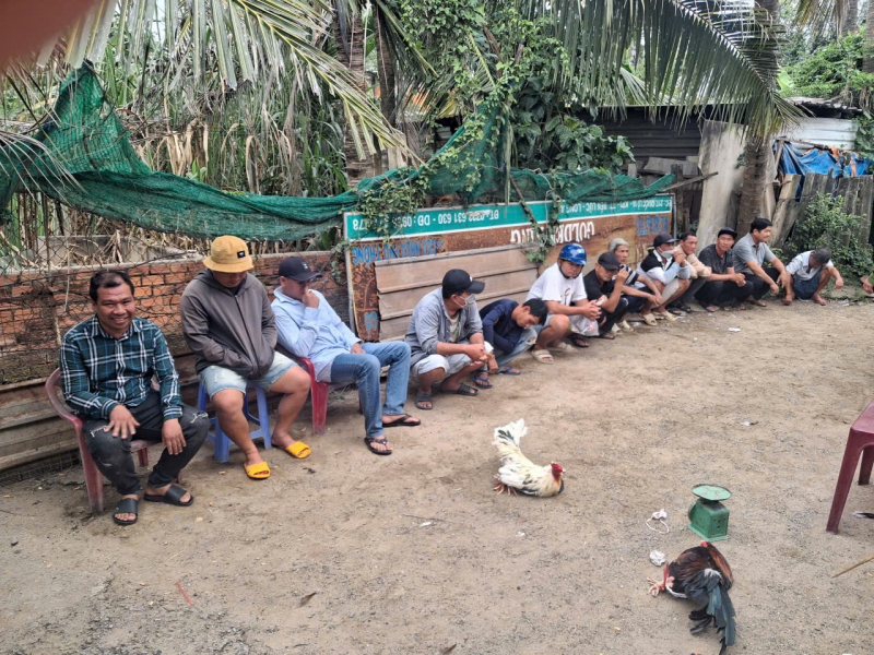 Chọn buổi sáng tổ chức đá gà ăn tiền để qua mắt Công an -0