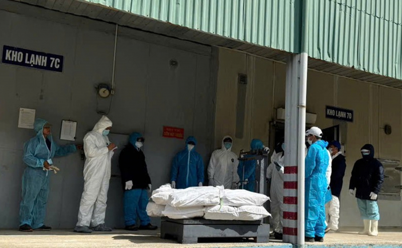 Bài học đắt giá mang tên “đồ hộp Hạ Long” -0