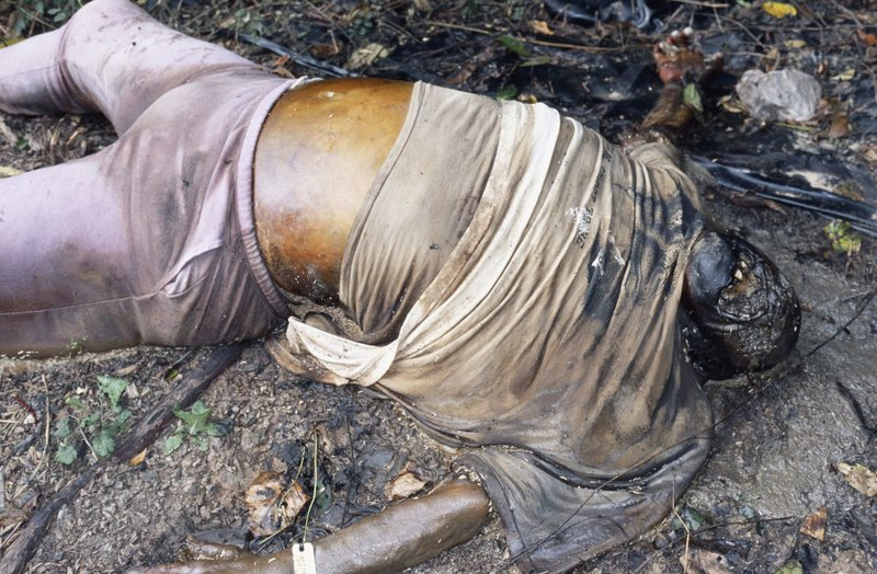 Body Farm - Trang trại tử thi hỗ trợ pháp y tin cậy -0