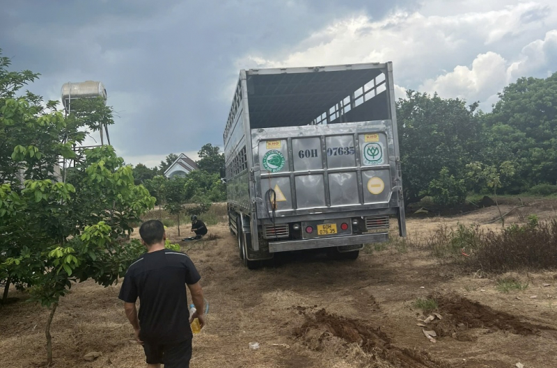 Người mua xe ô tô cũ cảnh giác giấy tờ giả -0