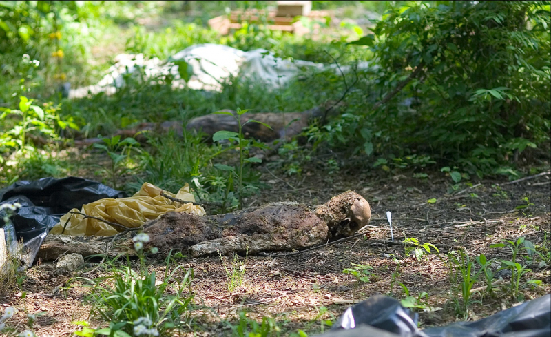 Body Farm - Trang trại tử thi hỗ trợ pháp y tin cậy -0