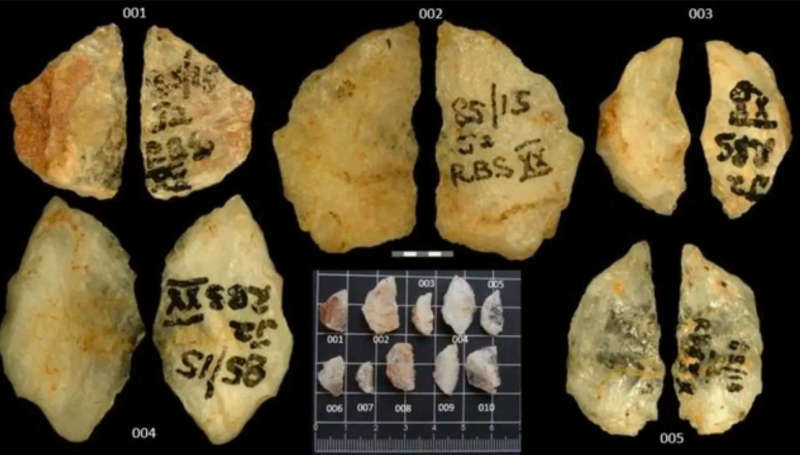 60.000 năm trước đã có vũ khí tẩm độc -0
