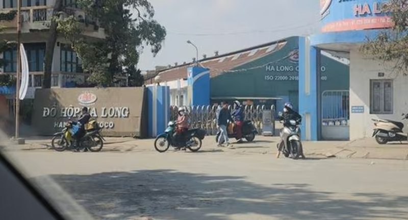 Bị ngừng việc, người lao động Công ty đồ hộp Hạ Long được hưởng chế độ ra sao? -0