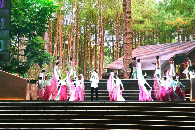 Đà Lạt tưng bừng bước vào hội mai anh đào -0