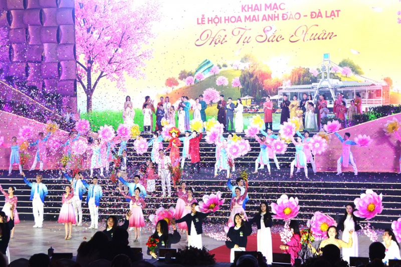 Đà Lạt tưng bừng bước vào hội mai anh đào -0