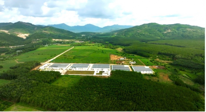 Sao Mai Agro: Nâng cao giá trị nông sản, hướng tới thị trường quốc tế -0