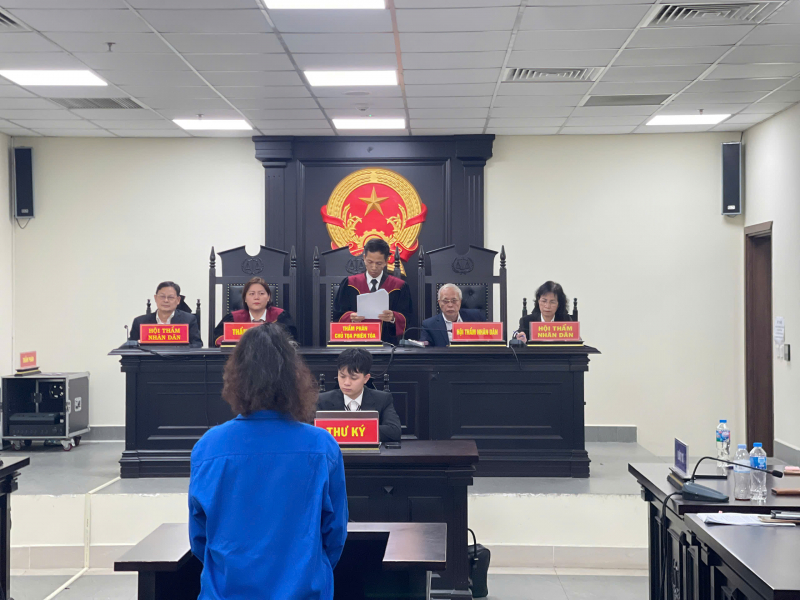 Chiếm đoạt hơn 229 tỷ đồng, nữ bị cáo môi giới bất động sản lĩnh án chung thân -0