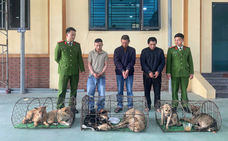 Nhóm “cẩu tặc” trang bị súng điện, bình xịt hơi cay để hành nghề -0