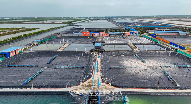 Huy động hiệu quả nguồn lực, phát huy tiềm năng, lợi thế - Động lực đưa Cà Mau phát triển nhanh và bền vững trong kỷ nguyên mới (*) -1