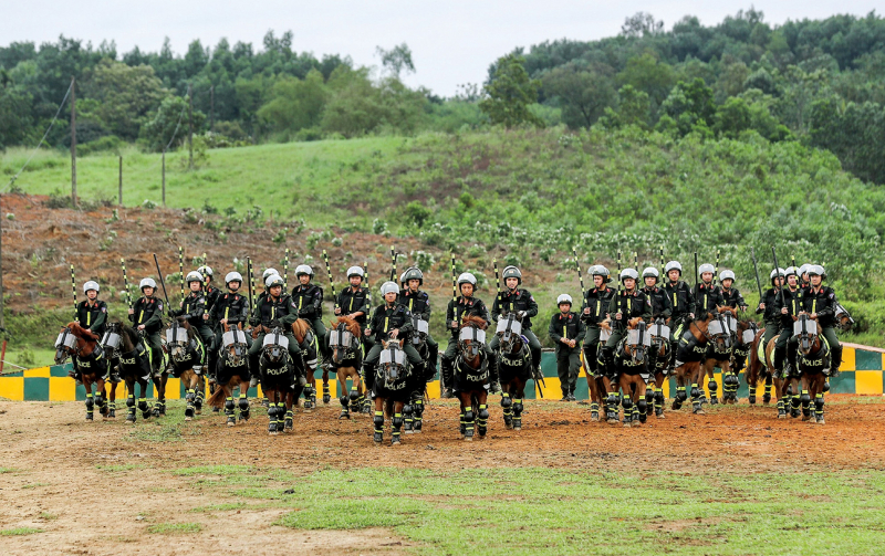 Vó ngựa thời gian_ANTG_TET2026_T30 -0