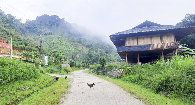 eb9d767dfcc4739a2ad5.jpg -1