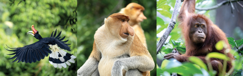 Bụi mịn, rừng già và hạnh phúc của những chuyến đi lạc__ANTG_TET2026_T28 -0