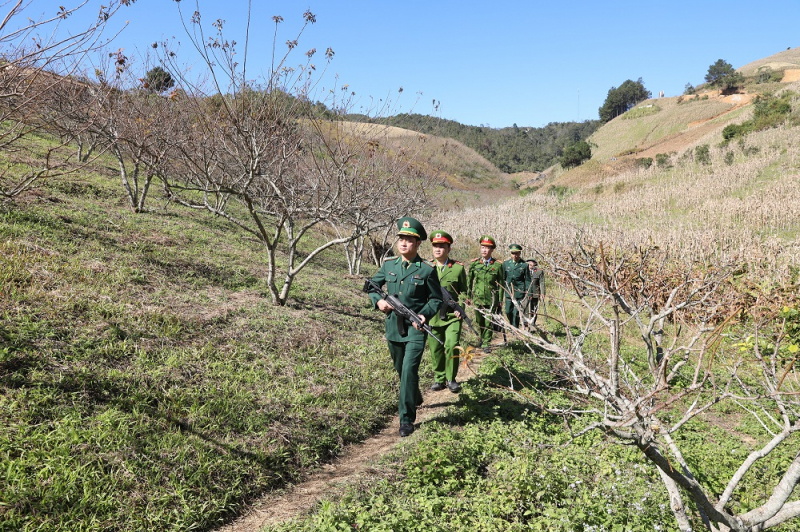Bước chân gieo mầm bình yên__ANTG_TET2026_T26 -0