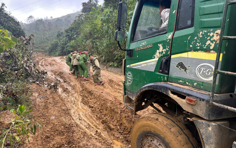 Mang Xuân sớm đến với đồng bào vùng sâu, vùng xa tại Đà Nẵng -0
