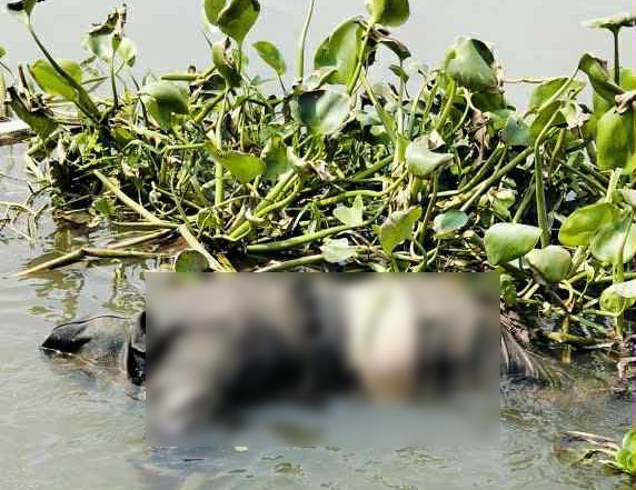 Nam thanh niên bị phát hiện tử vong dưới sông, sau cuộc gọi cho bố -0