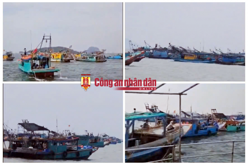 Xử lý nghiêm minh, không thỏa hiệp đối với các hành vi vi phạm trên vùng biển Kiên Lương -0