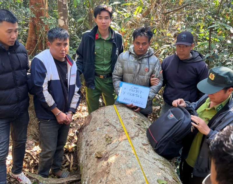 Truy bắt nhóm đối tương khai thác gỗ dỗi lúc nửa đêm -0