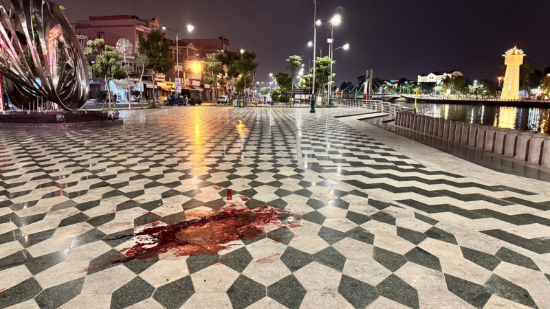 Lâm Đồng: Hai nghi can liên quan vụ giết người ở công viên Trưng Trắc ra đầu thú -0