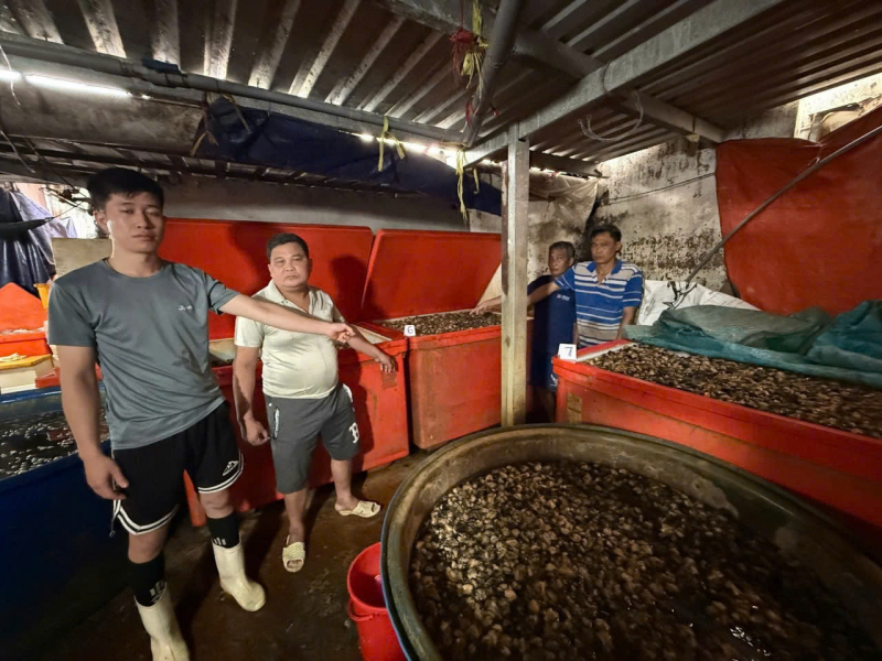 Triệt phá đường dây ngâm 3.000 tấn thịt ốc bươu bằng hóa chất công nghiệp quy mô đặc biệt lớn -2