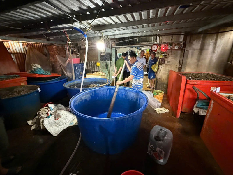 Triệt phá đường dây ngâm 3.000 tấn thịt ốc bươu bằng hóa chất công nghiệp quy mô đặc biệt lớn -5