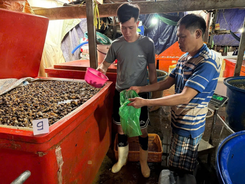 Triệt phá đường dây ngâm 3.000 tấn thịt ốc bươu bằng hóa chất công nghiệp quy mô đặc biệt lớn -6