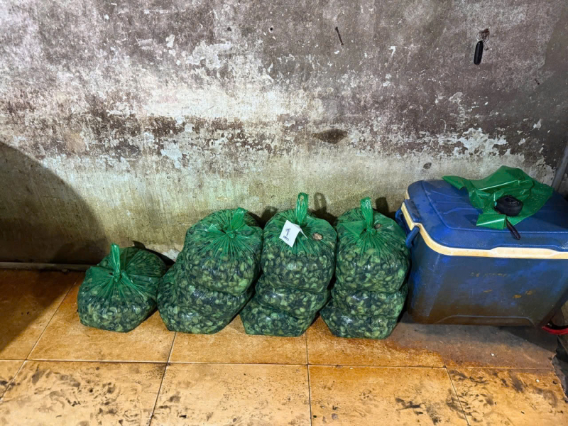 Triệt phá đường dây ngâm 3.000 tấn thịt ốc bươu bằng hóa chất công nghiệp quy mô đặc biệt lớn -8