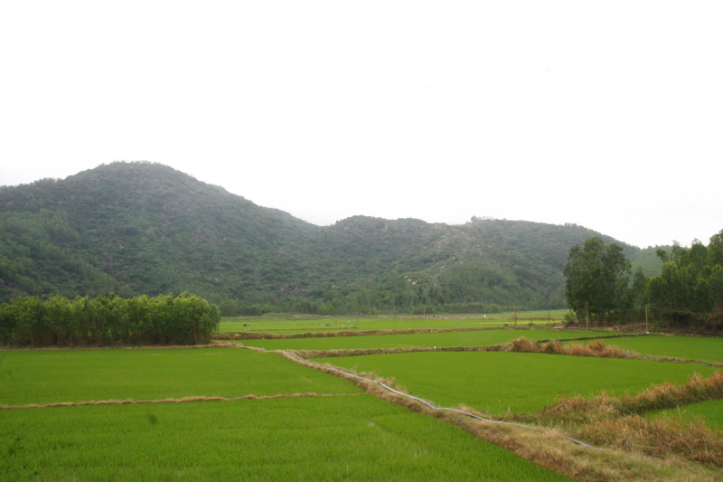 Gặp nam sinh cứu phi công trong vụ máy bay quân sự rơi ở phía Đông tỉnh Đắk Lắk -0