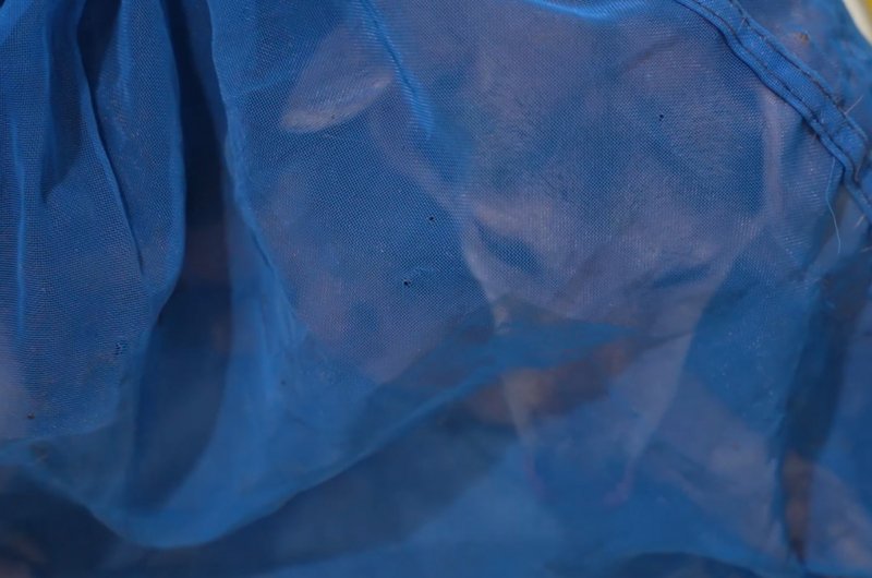 Bắt quả tang nhóm đối tượng trộm cắp, thu gom gần 100kg chó, mèo đem tiêu thụ -3