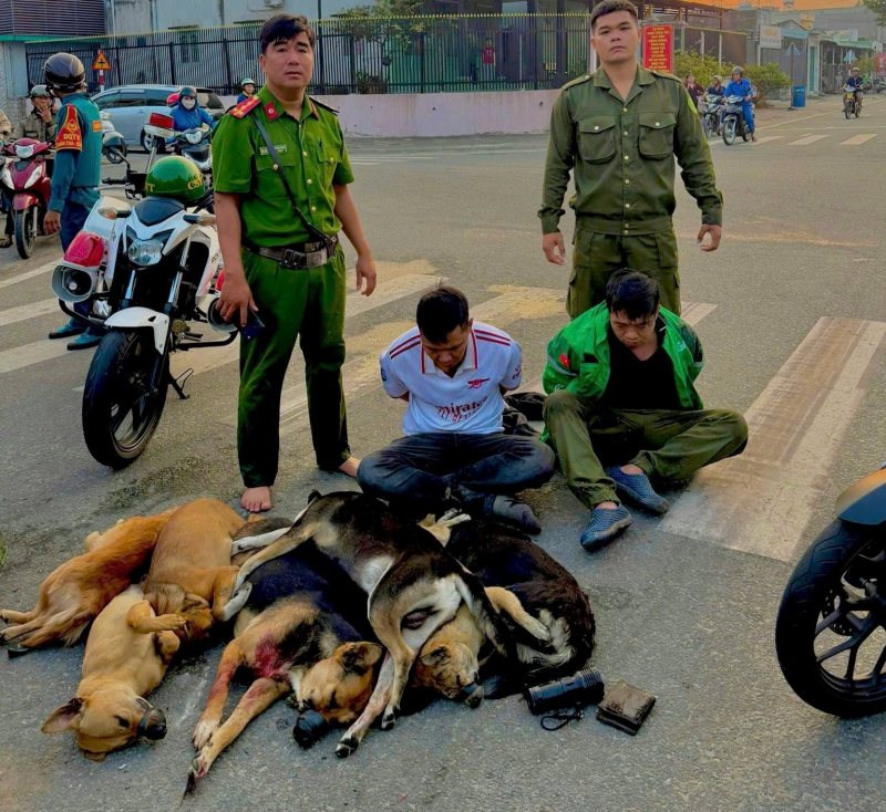 Truy đuổi, bắt gọn hai đối tượng trộm chó, thu giữ súng bắn chỉa và bình xịt hơi cay -1