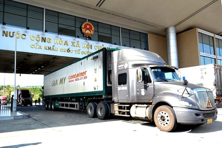 1-17254644325041650058879-184625229-185802-17699064131511680258466.jpeg -0