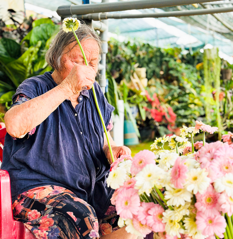 15_tết- Những người trồng hoa trên đất cao nguyên -0